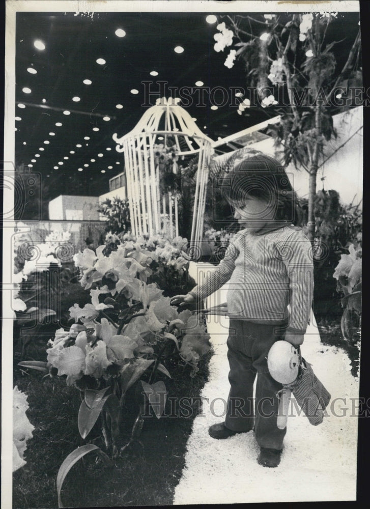 1977 Chicago Flower and Garden Show - Historic Images