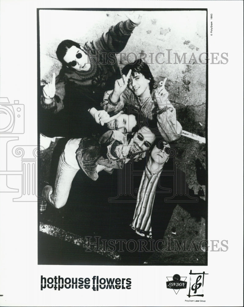 1993 Press Photo Hothouse Flowers - Historic Images