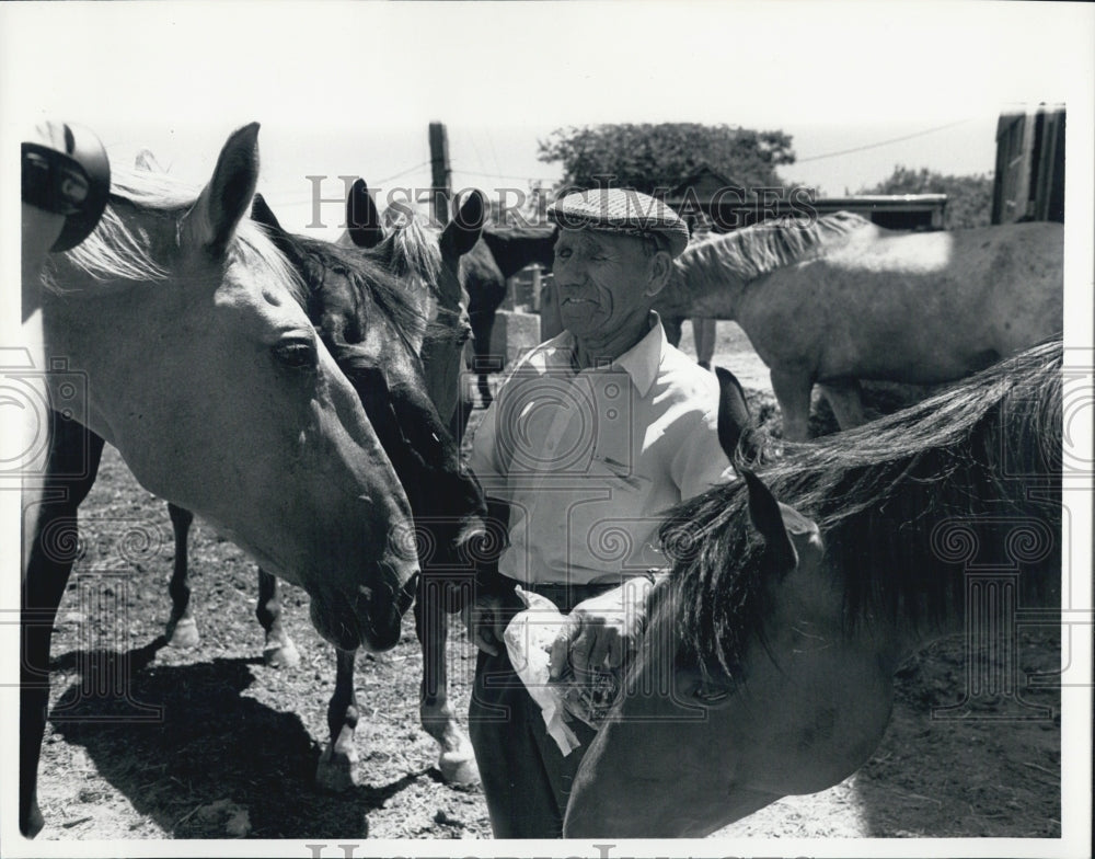 1988 Press Photo Art Thompson&#39;s Stables to Save Retired Racehorses From Thirst - Historic Images