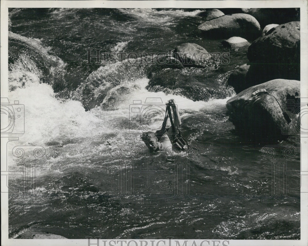 1947 Philip Bishop diving gold miner Sultan river - Historic Images