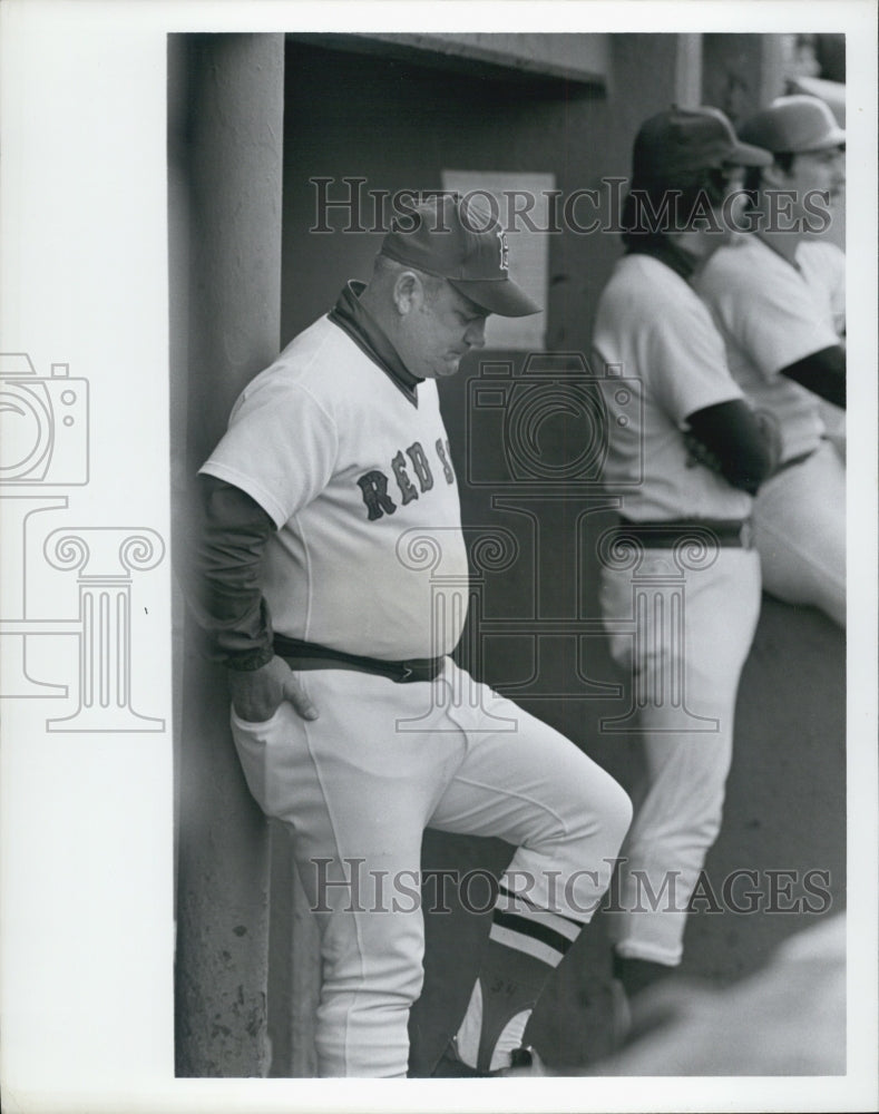 Press Photo Red Sox&#39;s Don Zimmer - Historic Images