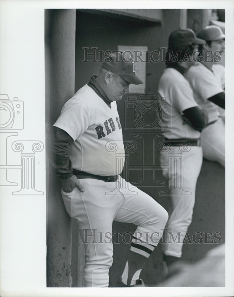 Press Photo Red Sox's Don Zimmer - Historic Images