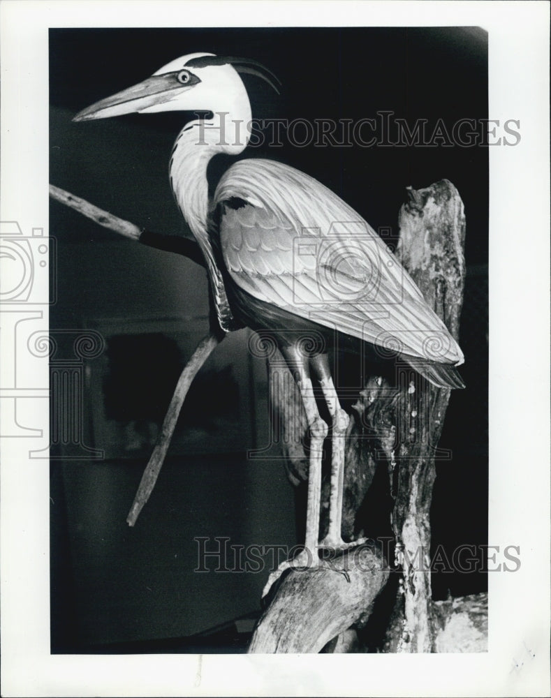 1982 Press Photo Artist Market Gallery wood carving bird Steve Hutchens - Historic Images