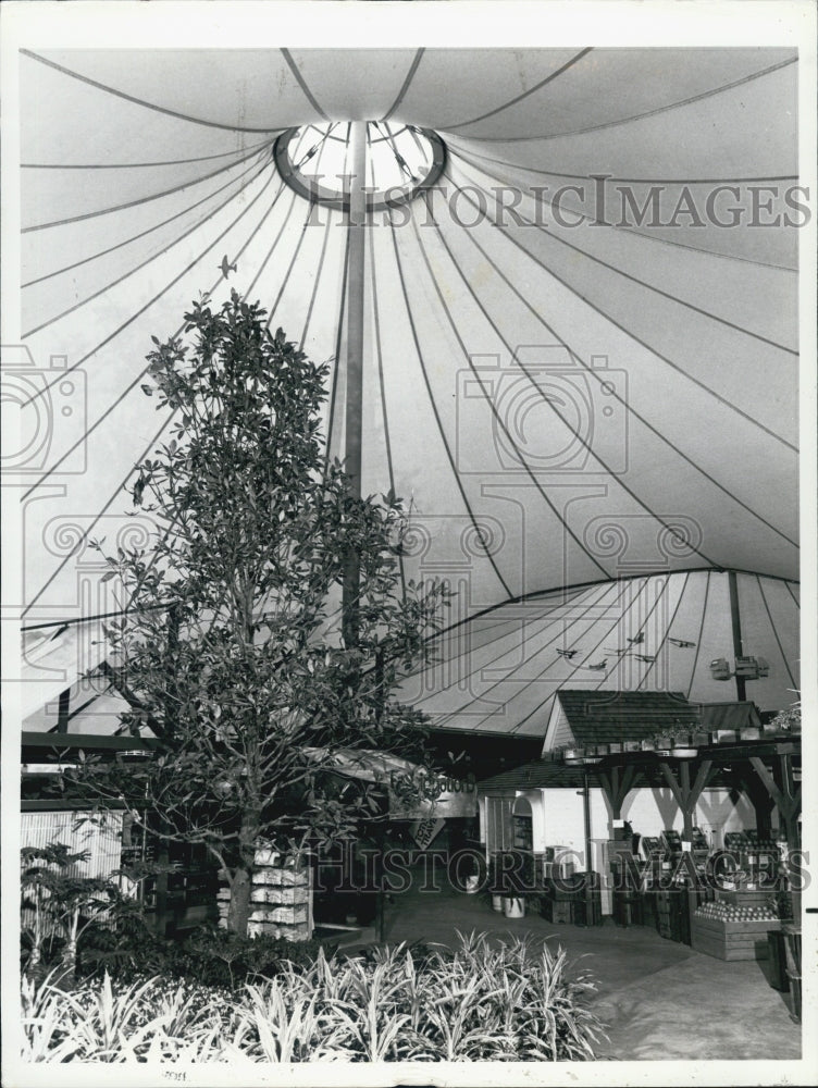 1981 Press Photo Sea World Festival, Teflon Coating Fiberglass Houses And Shops - Historic Images