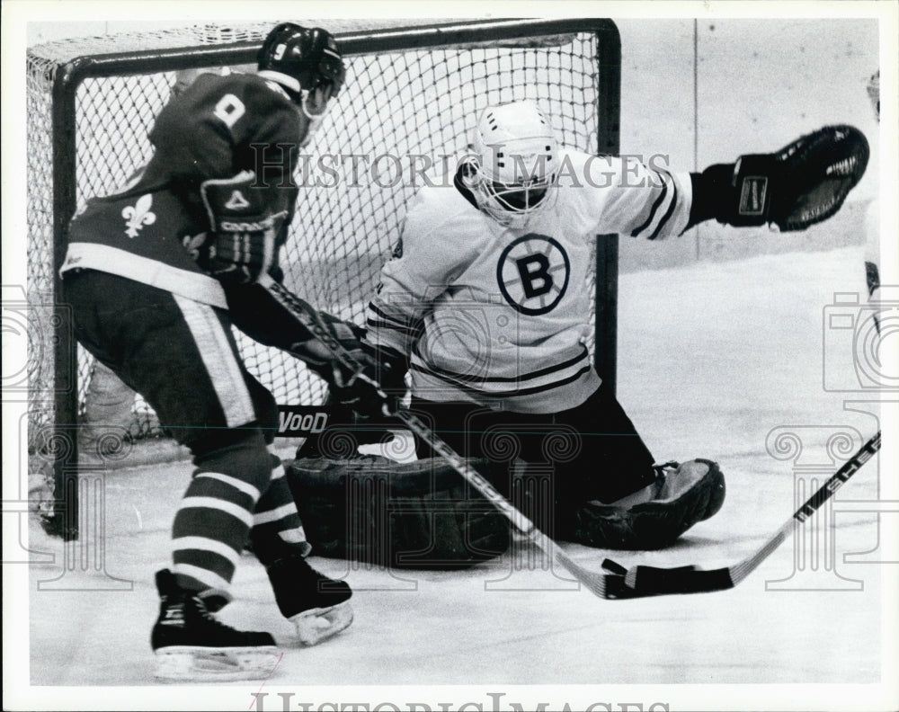 Press Photo Bruins - Historic Images