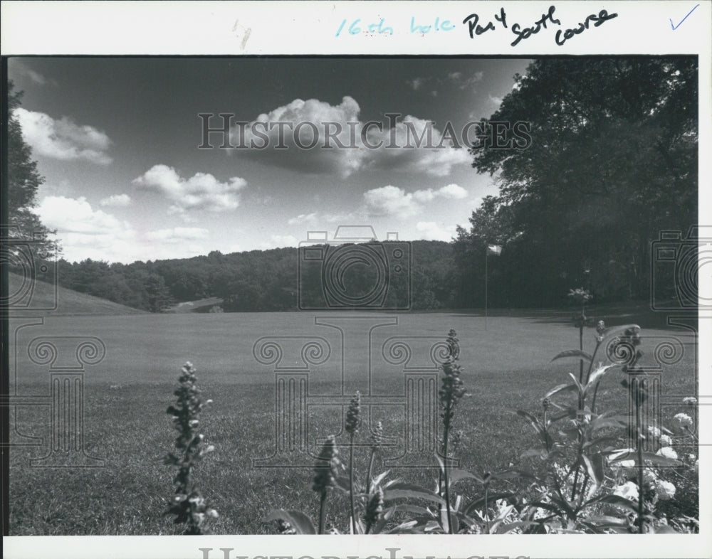 1994 Press Photo Stow Acres 16th Hole - Historic Images