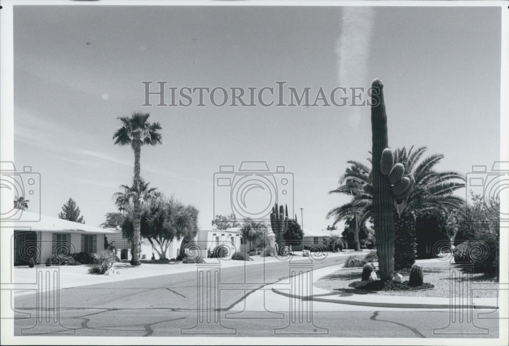 1990 Press Photo Sun City Arizona Street Homes Overview - Historic Images