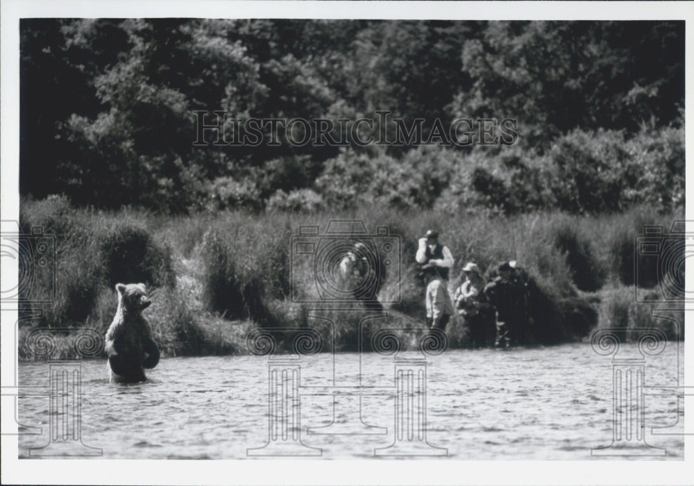 1993 Press Photo Brown Bare Shares Fishing Spot Anglers Brooks Camp Katmai Park - Historic Images