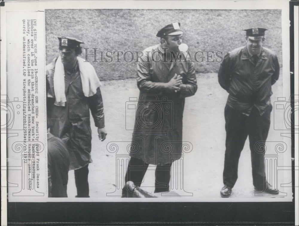 1972 Security Guards at Yankee Stadium - Historic Images