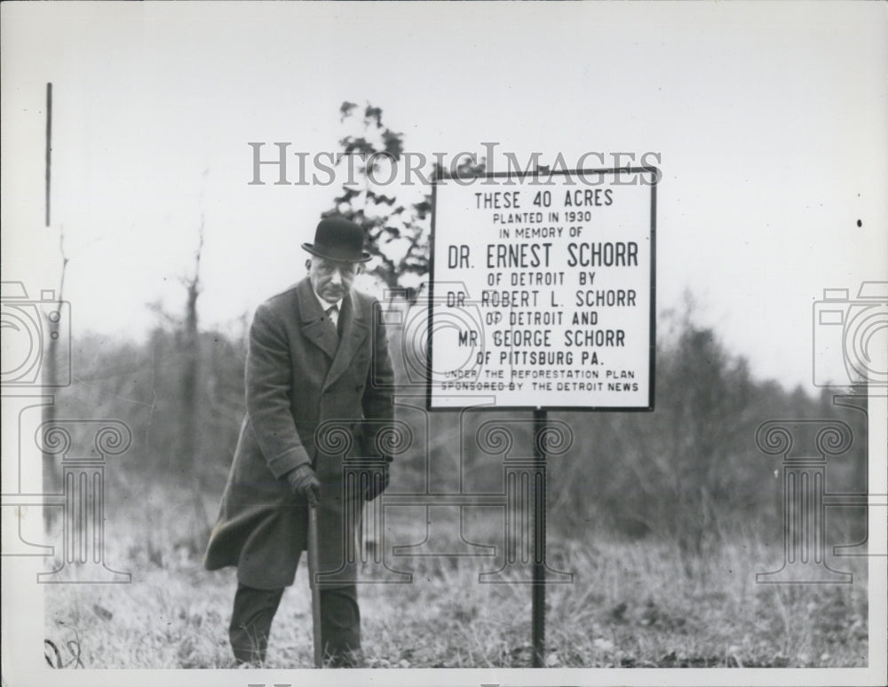 1935 Reforestation honoring Dr. Ernest Schorr - Historic Images