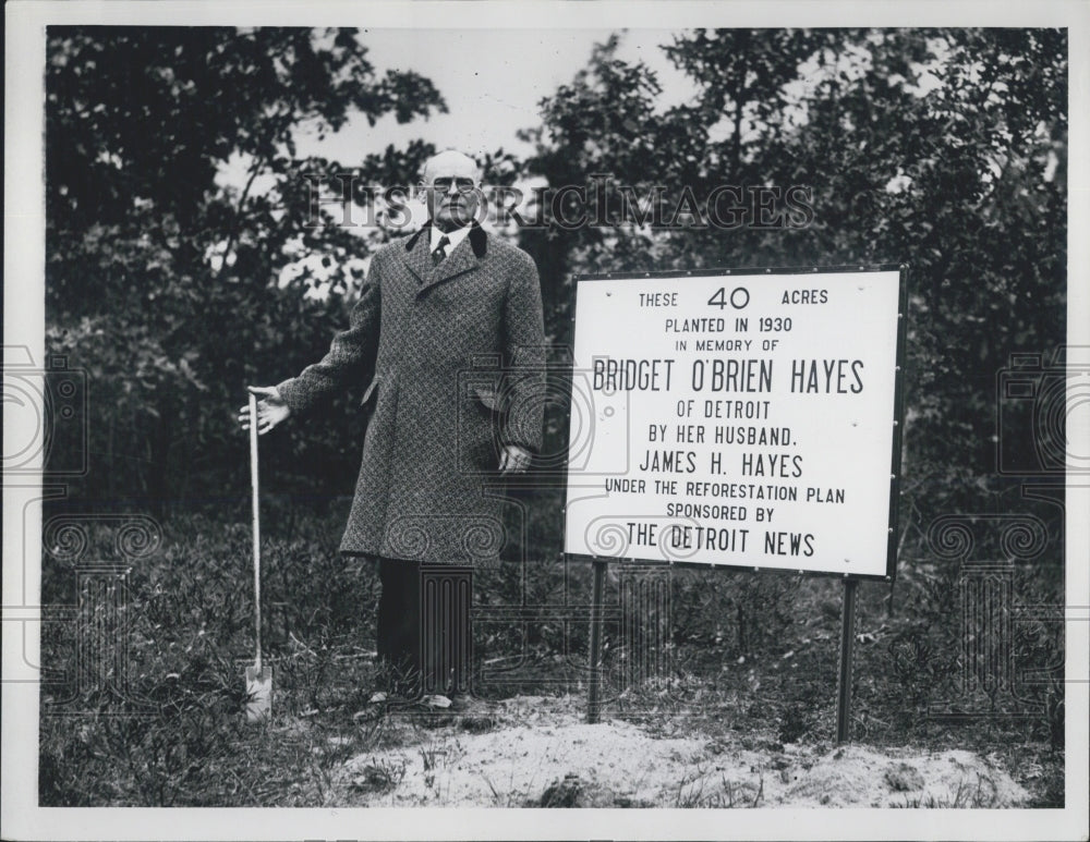 1930 Acres planted in memory of Bridget Obrien Hayes by her husband - Historic Images