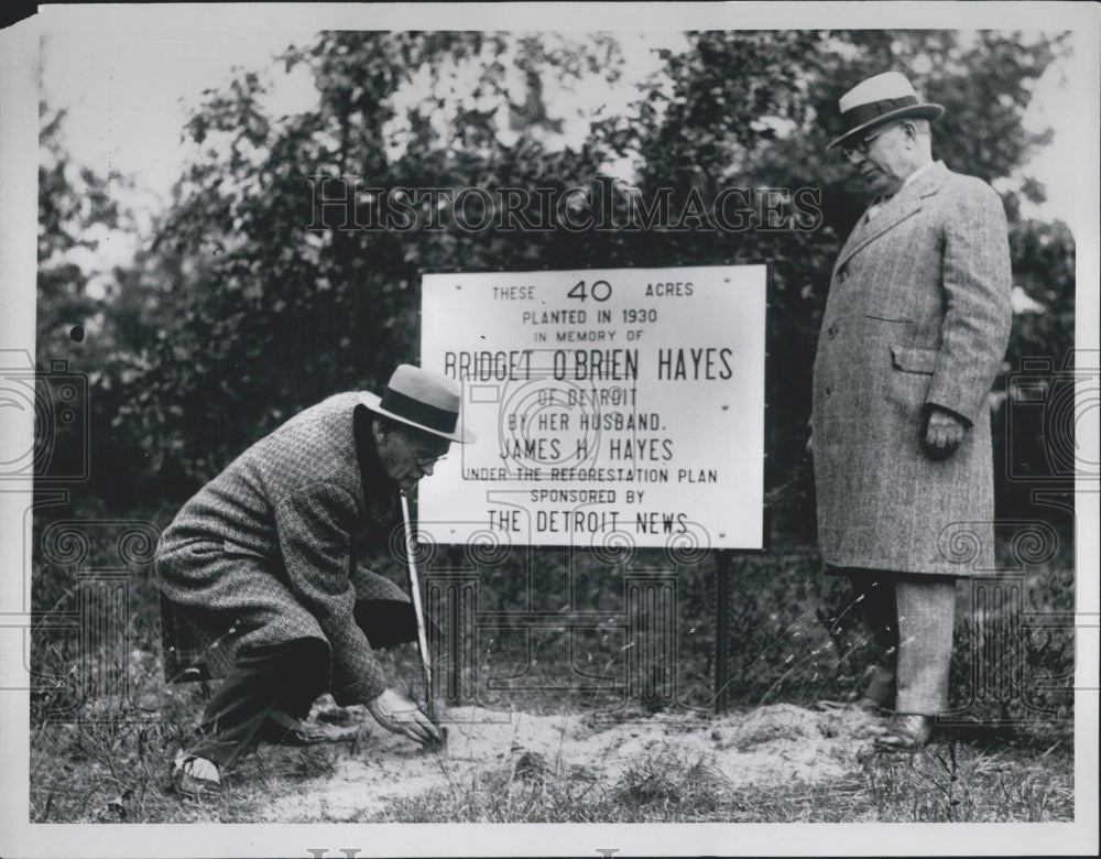 1935 Press Photo Detroit Reforestation Detroit News Men Planting Tree - Historic Images