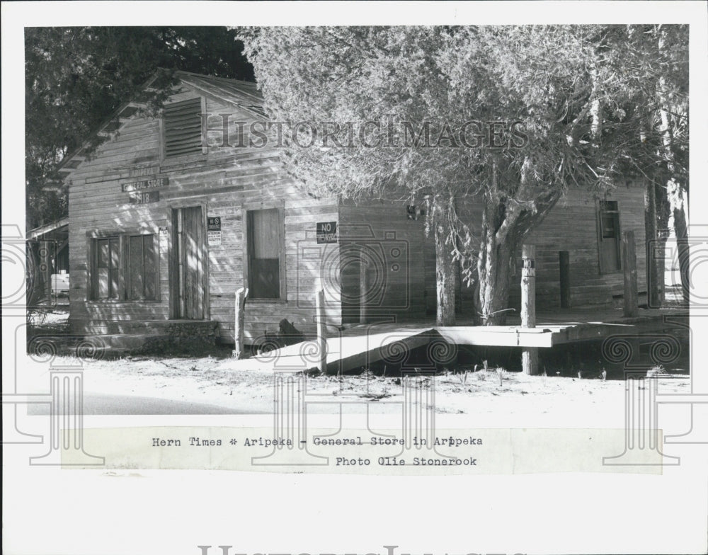 1989 Press Photo Aripeka Station General Store Exterior - Historic Images