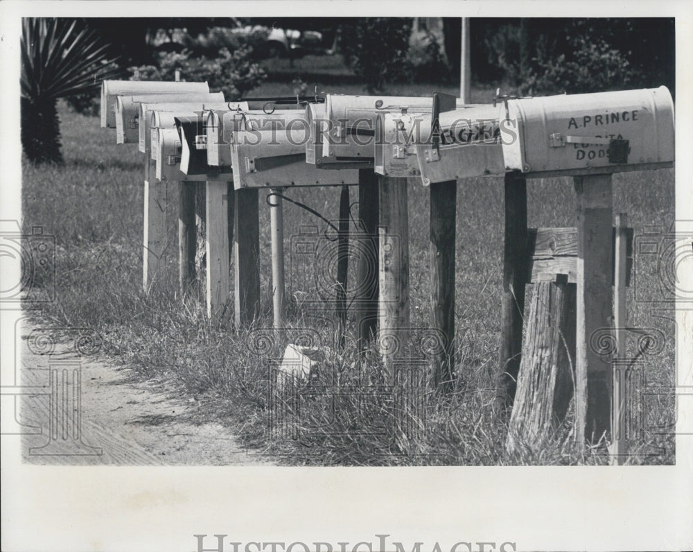 1976 Press Photo Line Of Mailboxes In Front Of Rural Homes Anclote - RSG32065 - Historic Images