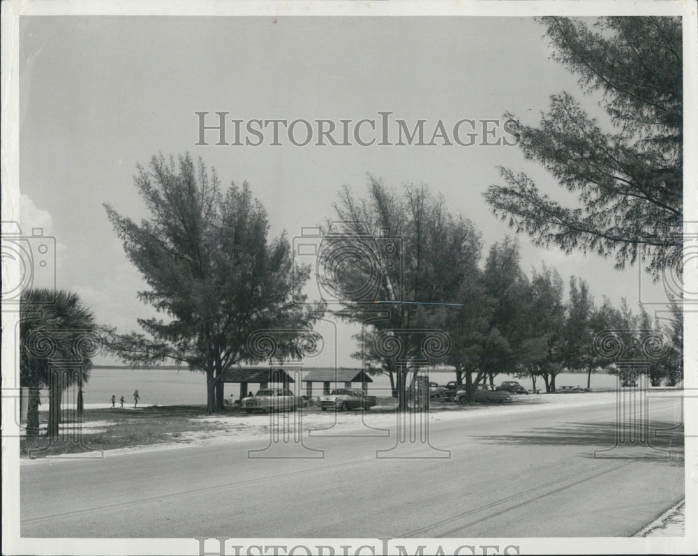 1999 Press Photo Courtney Campbell Bridge - Historic Images