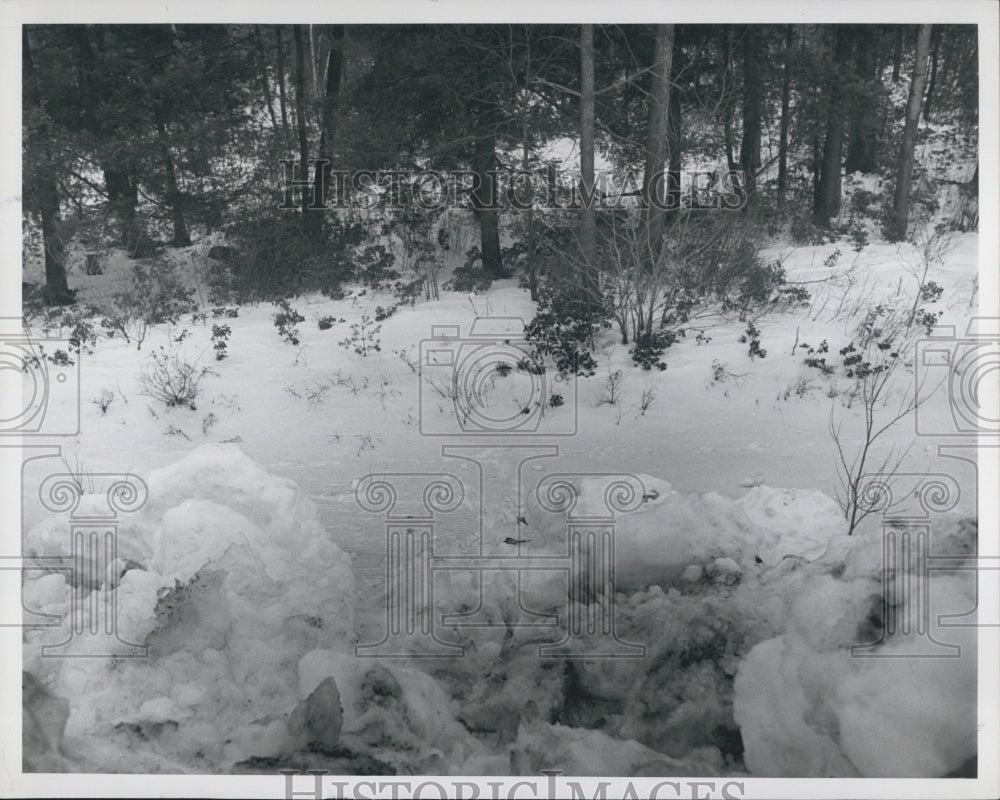 1969 Stephen Bak Murder Scene Crime Snowy Hillside Woods Nature - Historic Images