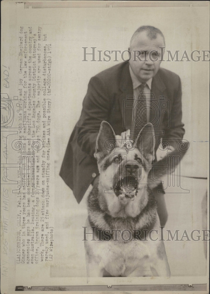 1971 Press Photo Bob Beusing with German Shepard marijuana law enforcement dog - Historic Images