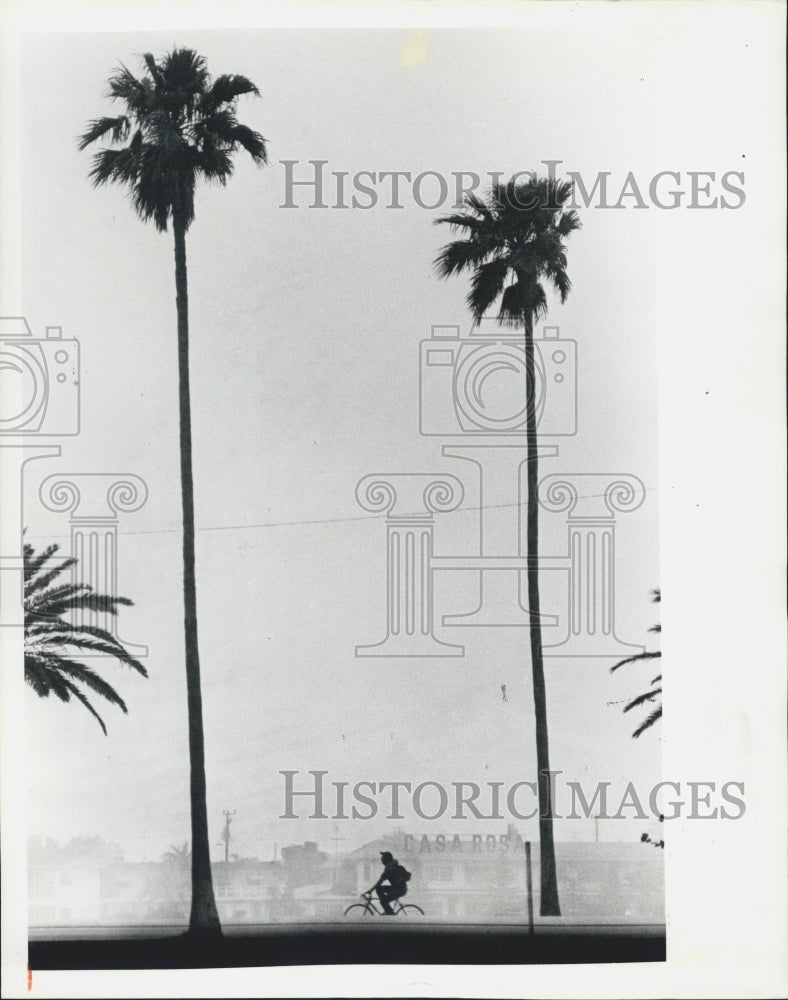 1980 Press Photo Bridges Memorial Causeway - Historic Images