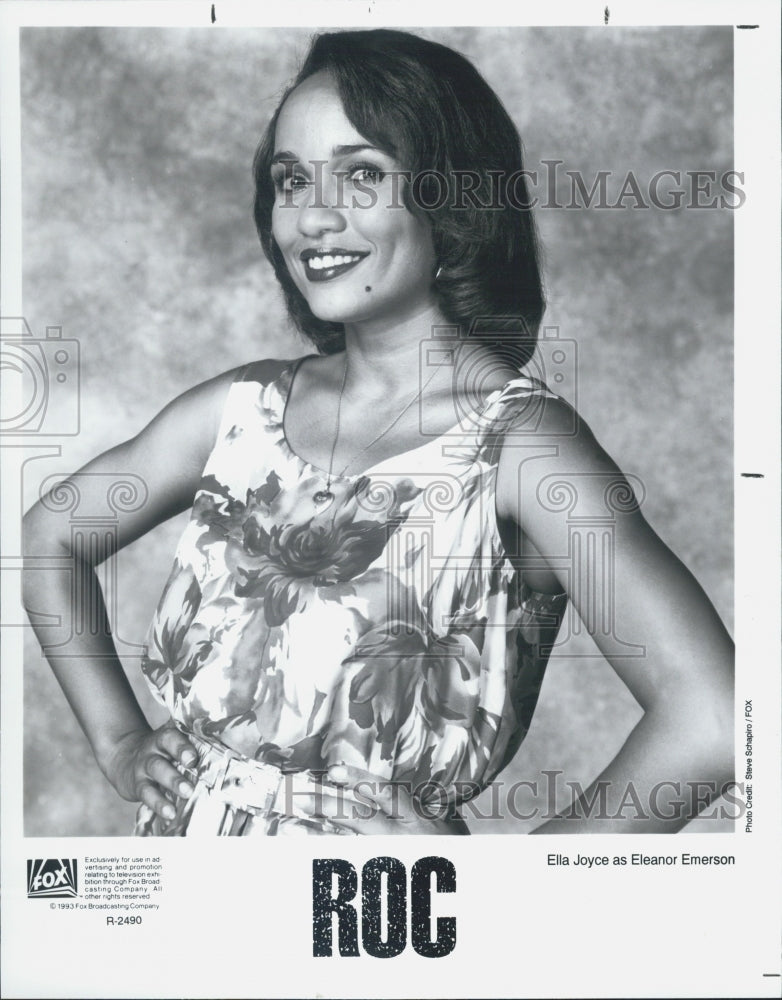 1993 Press Photo Roc - Historic Images