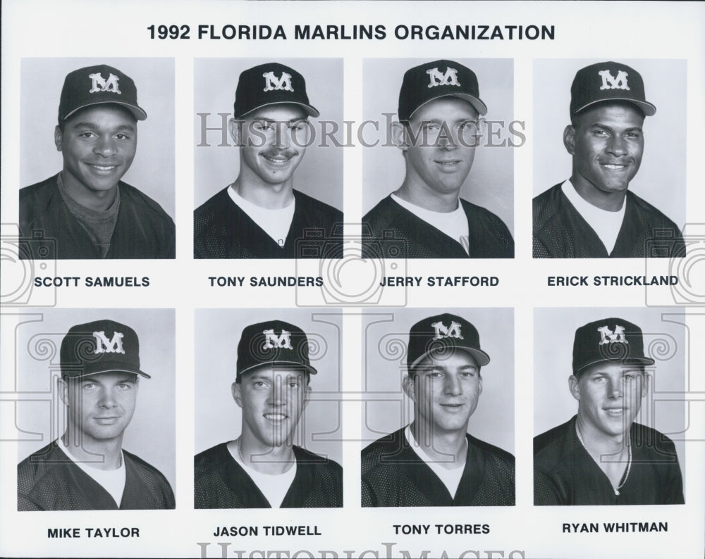 1992 Press Photo Florida Marlins Scott Samuels Tony Saunders Jerry Stafford - Historic Images