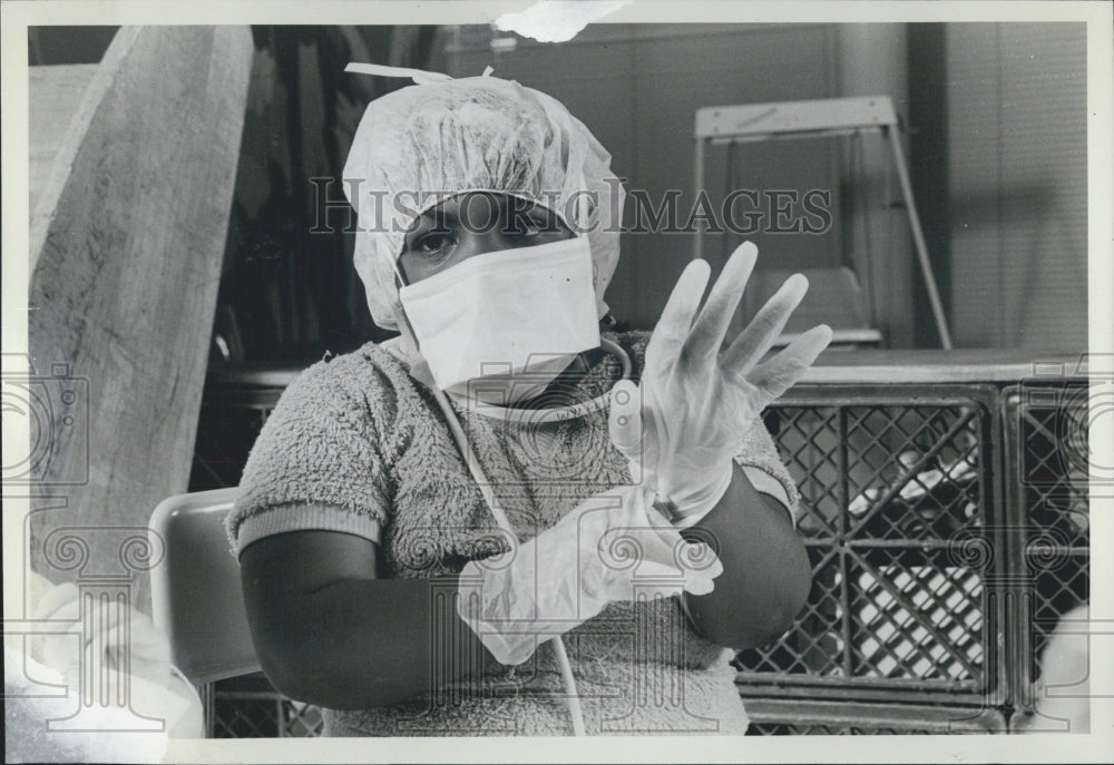 1981 Press Photo Mr. Bear Surgery Jill Droge Chicago Wyler Children&#39;s Hospital - Historic Images