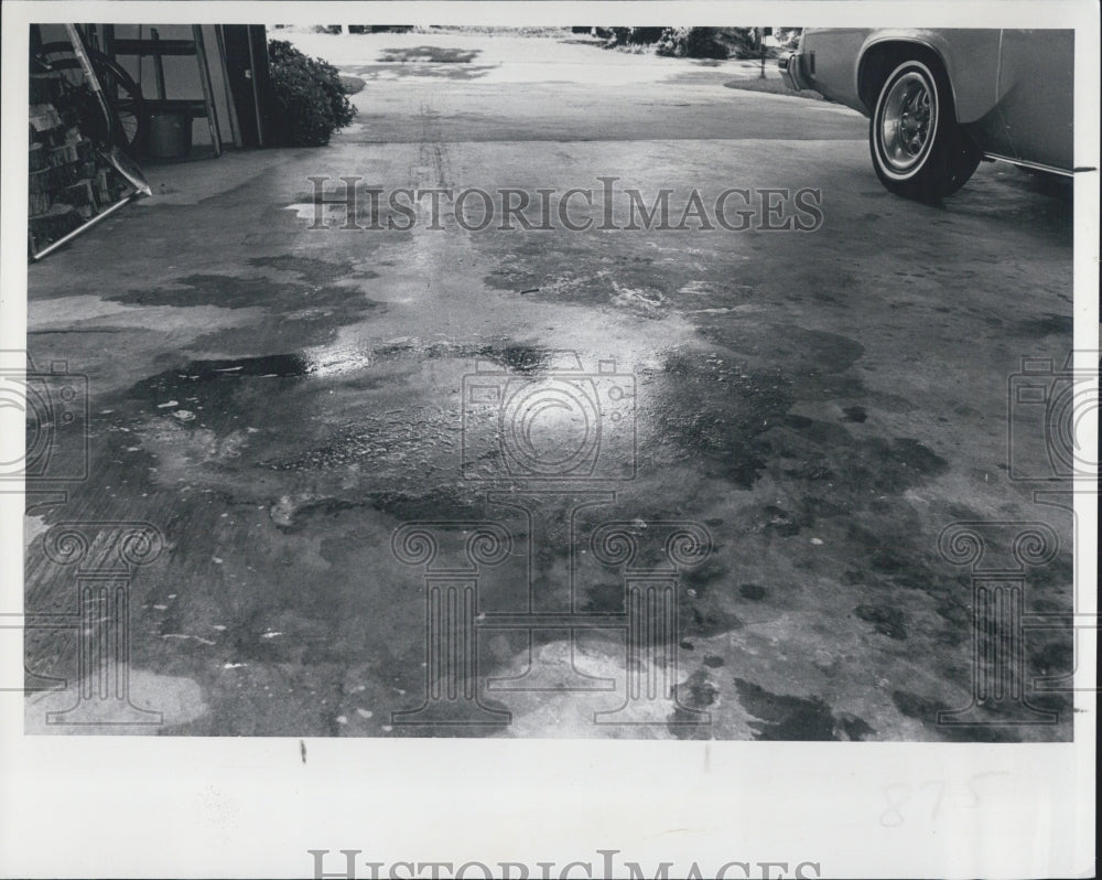 1978 Spots on driveways - Historic Images