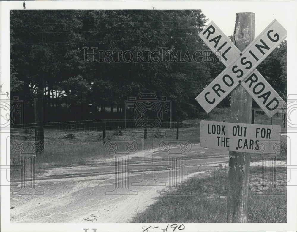 1979 Press Photo Railroad Crossing Sign Near Croom Road In Silver Lane, Florida - Historic Images