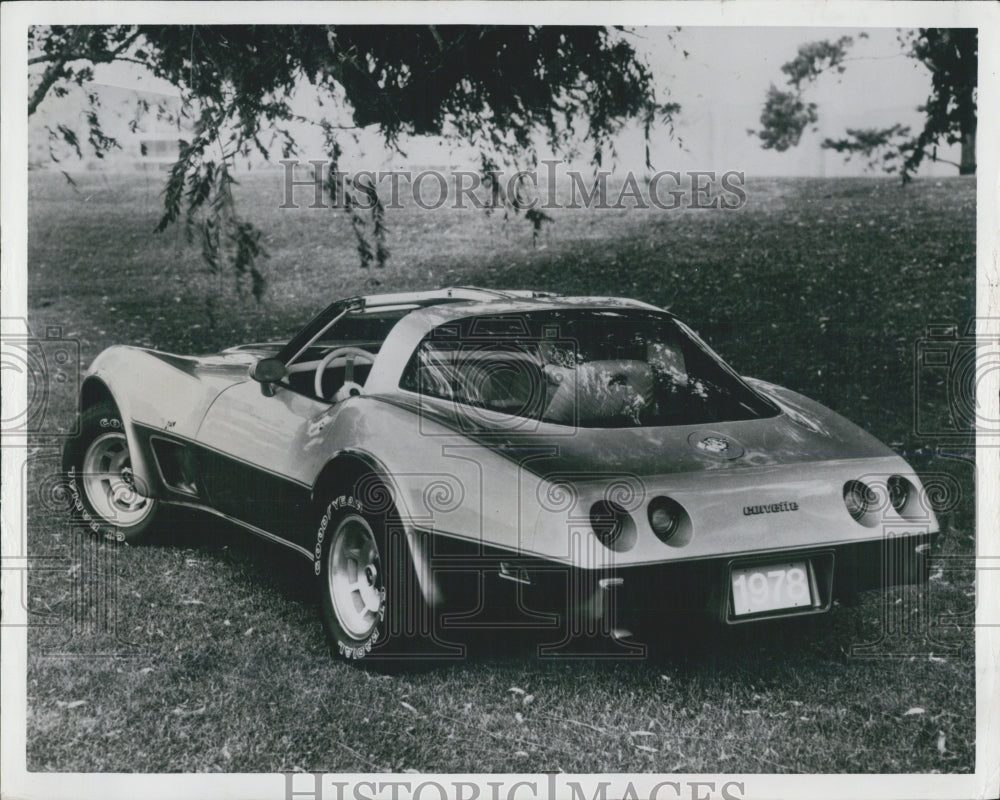 Press Photo Corvette show - Historic Images