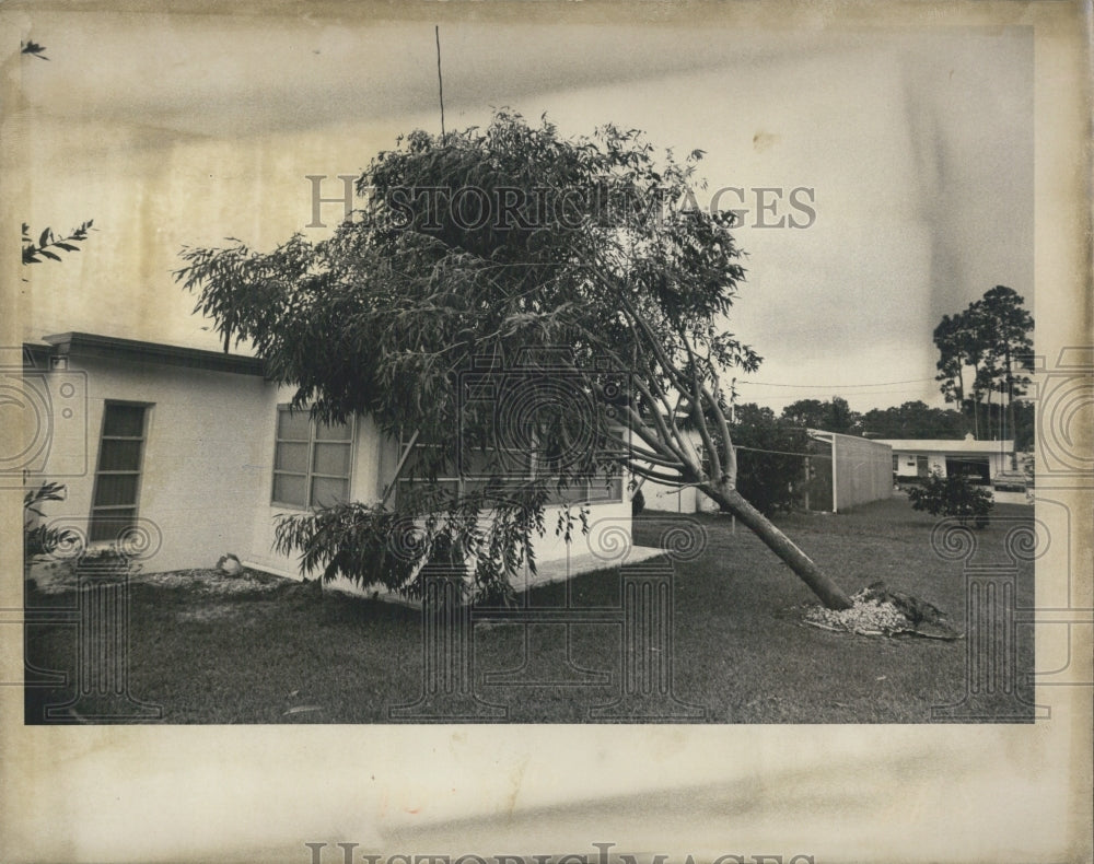 1976 Tornado Destruction - Historic Images