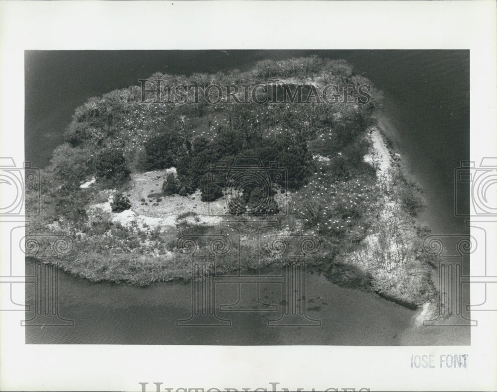 1984 Press Photo Island on Ancelote River - Historic Images