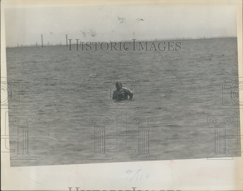 1966 Man in Lake running from Police he is wanted for assault - Historic Images