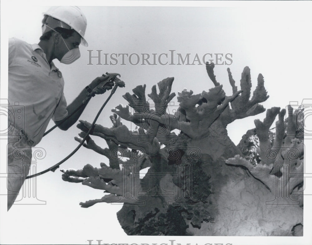 1991 Press Photo Sea World Auqarist Joe Keyon - Historic Images