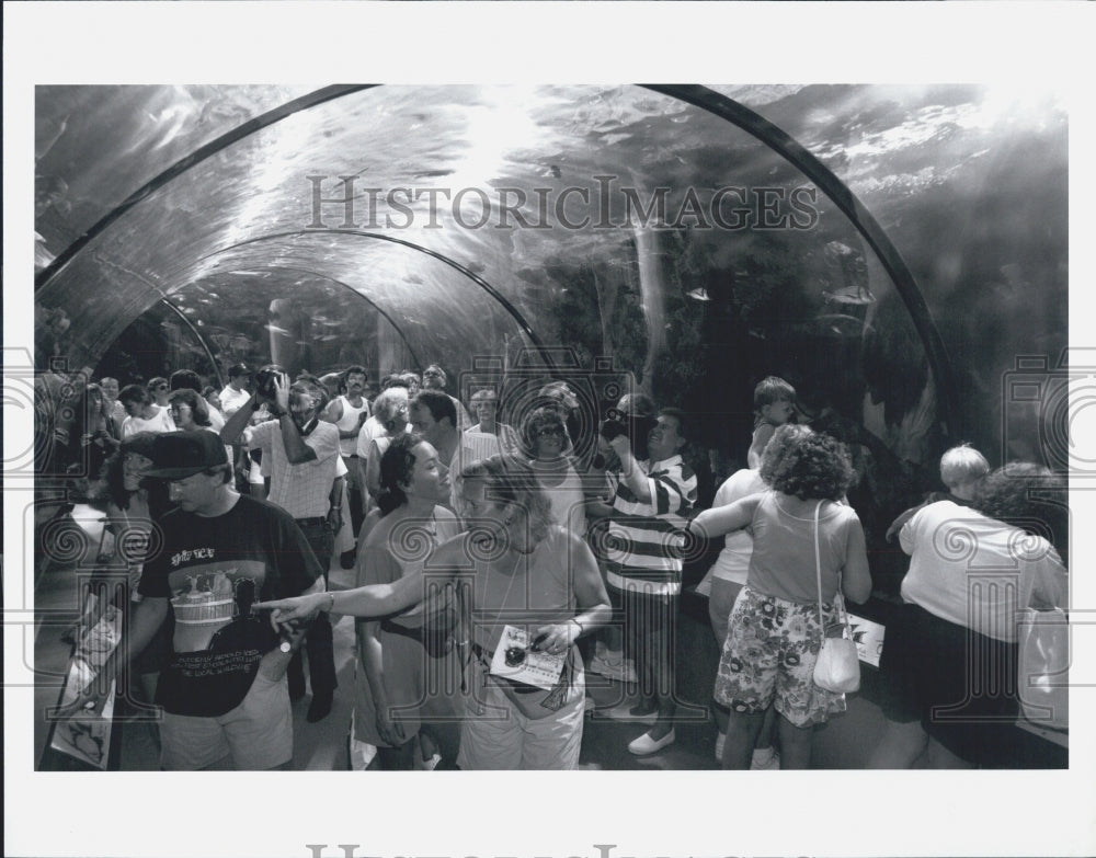 1991 Press Photo Visitors At Florida Sea World New Attraction "Terrors Of Deep" - Historic Images
