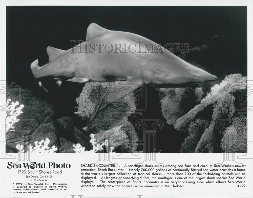 1992 Press Photo Sea World - Historic Images