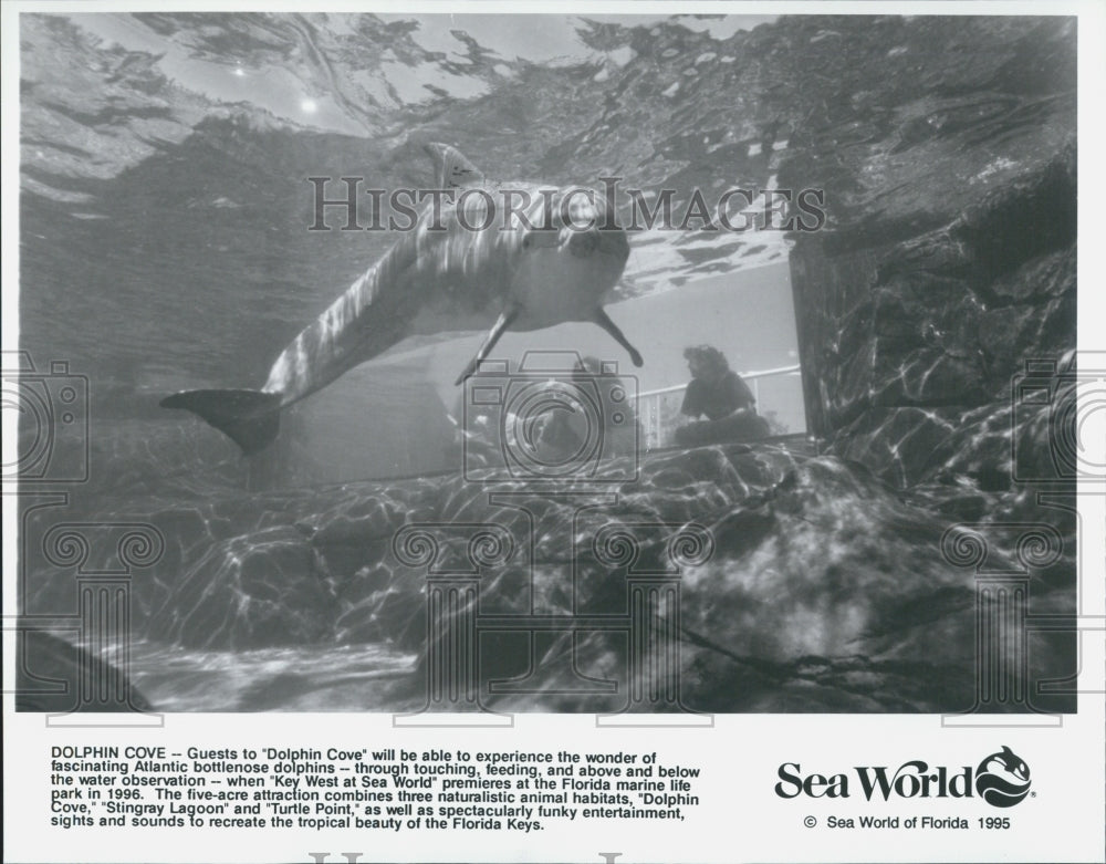 1995 Press Photo Sea World - Historic Images