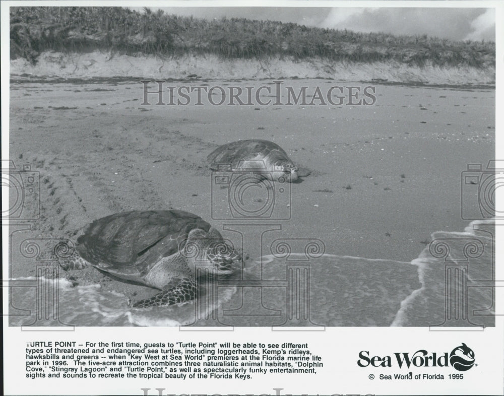 1995 Press Photo Sea World - Historic Images