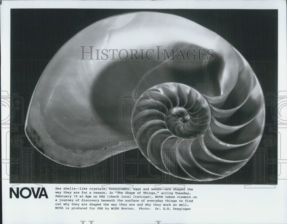 1985 Press Photo PBS&#39; &quot;Nova: The Shape of Things&quot; - Historic Images