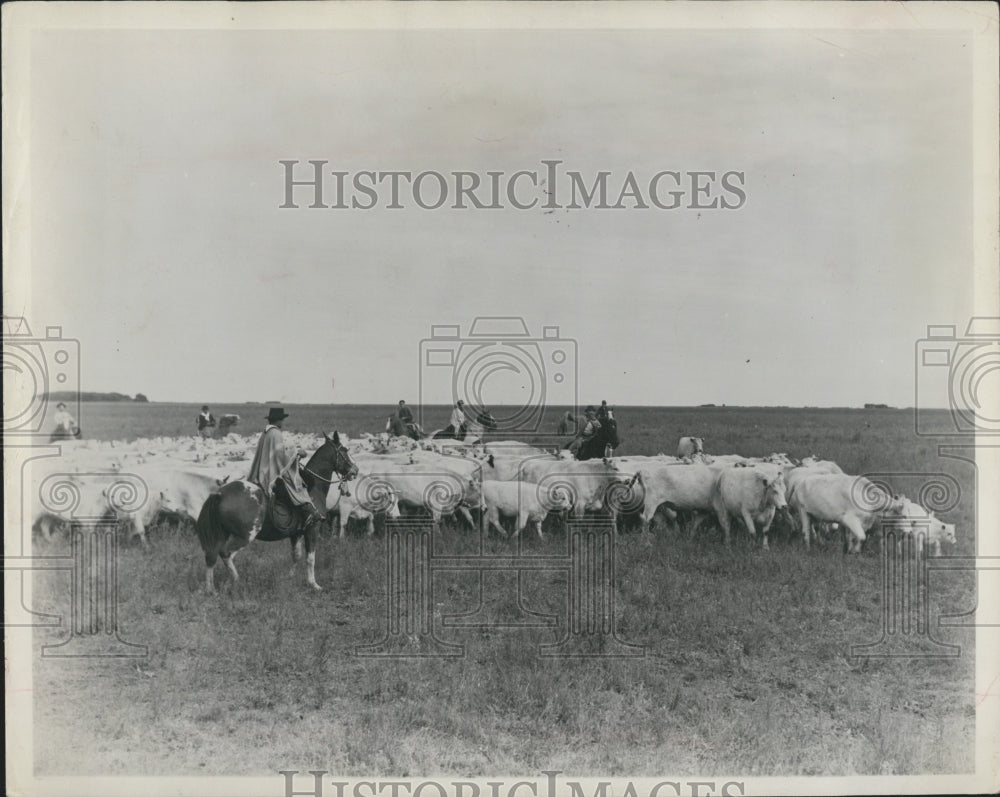 Press Photo Buenos Aires - Historic Images