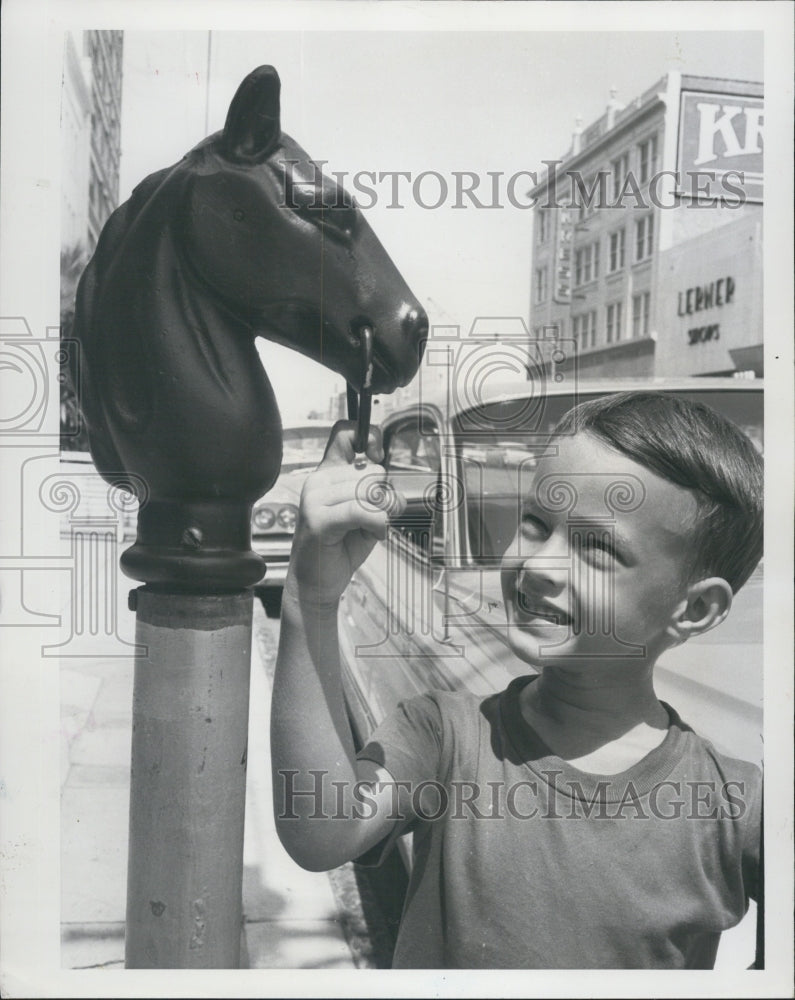 1964 RIGHT FROM THE HORSE MOUTH - Historic Images