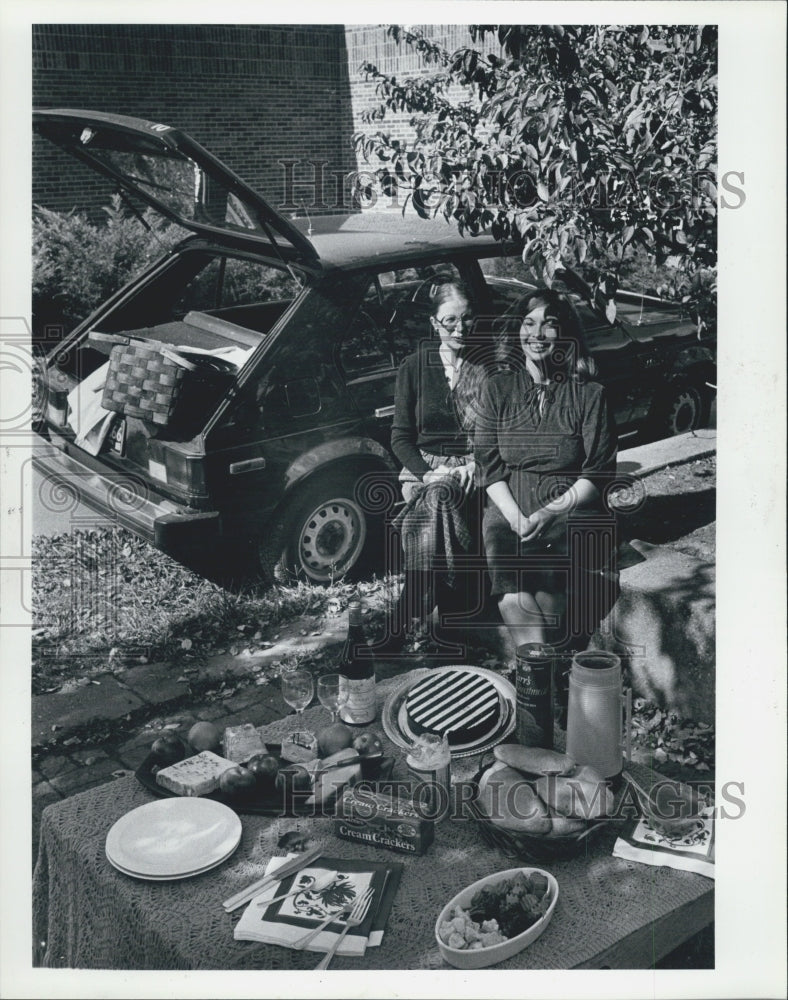 1981 Press Photo Gourmet Tailgate Picnic in Detroit - Historic Images