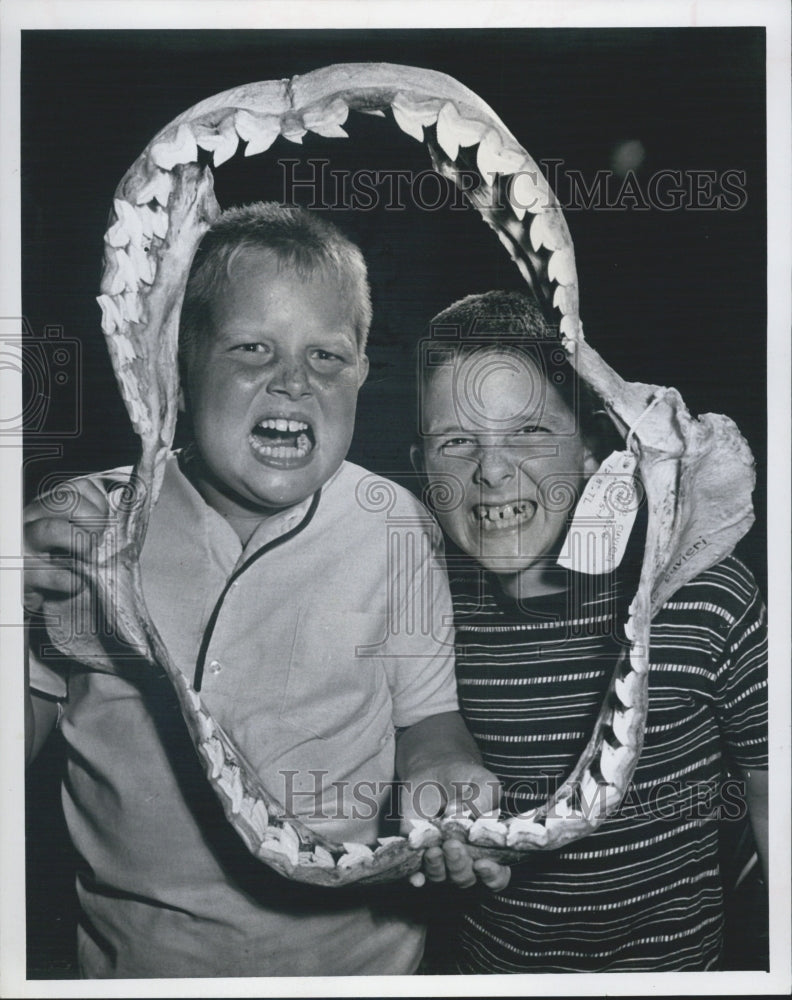 1966 Two Boys Inside The Jaws Of Shark At Anchorage Club FL - Historic Images