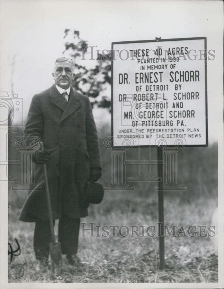 1935 Forest Under Resforestation to put memorial to DR ERNEST SCHOR - Historic Images