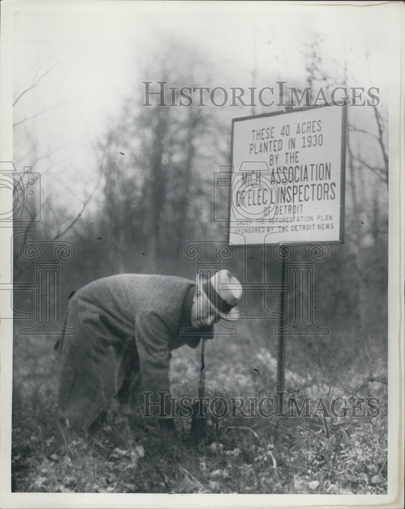 1935 Press Photo Forest reforestation in Detroit Michigan - Historic Images