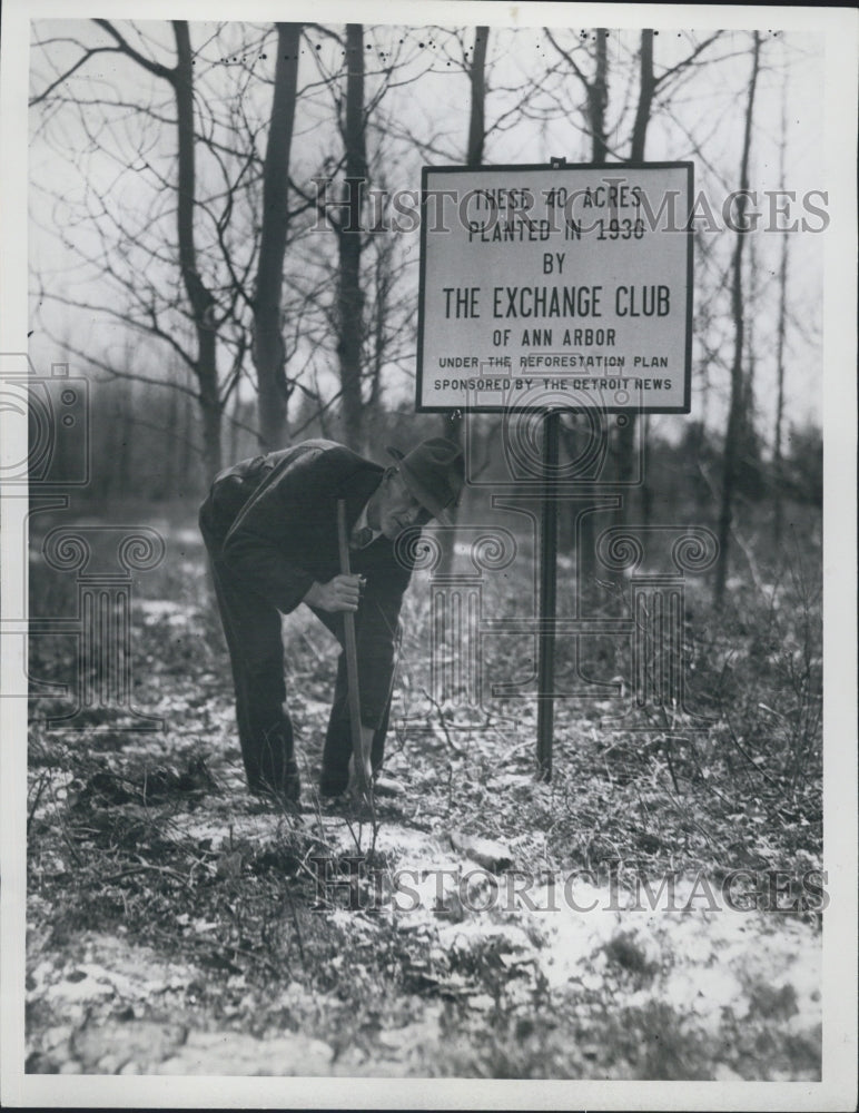 1935 Reforestation Michigan - Historic Images