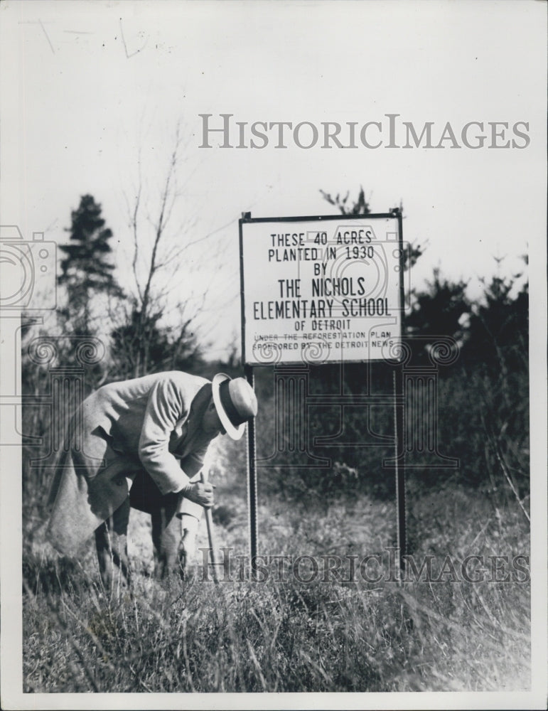 1935 Press Photo Reforestation in Michigan - Historic Images