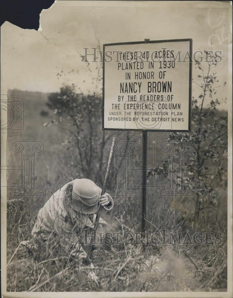 1930 40 Acres Planted In Nancy Brown&#39;s Honor By Experience Column-MI - Historic Images