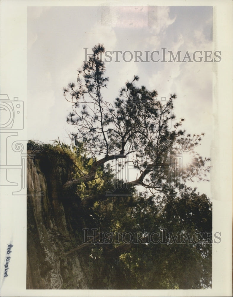 1993 Press Photo Trees Grow Sides Cliffs Along Southern End Fox River - Historic Images