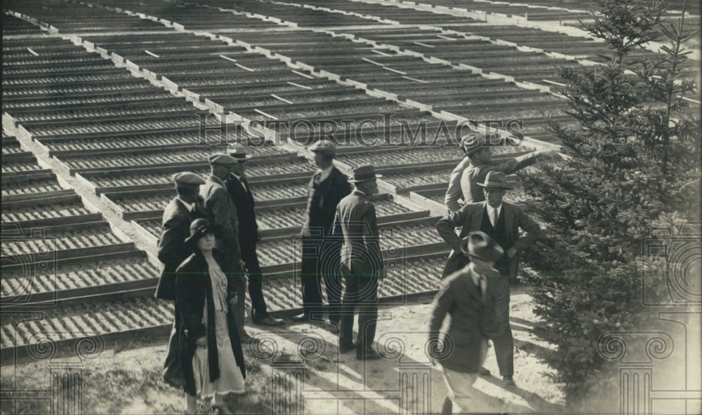 1929 Forests Reforestation Michigan Nurseries - Historic Images