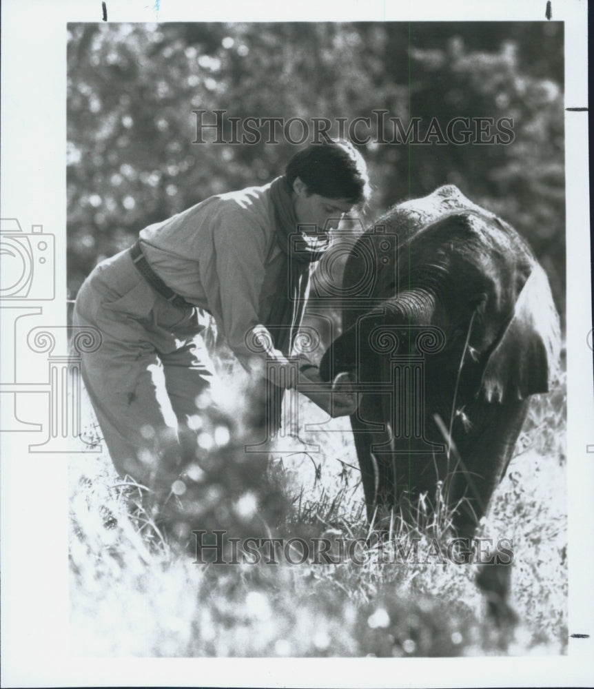 1990 Press Photo Last Elephant Television Program Scene - Historic Images