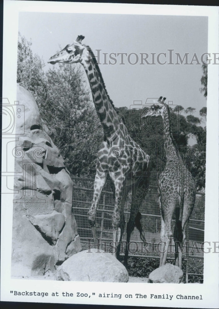 Press Photo Backstage at the Zoo on The Family Channel - Historic Images